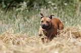 STAFFIE 117